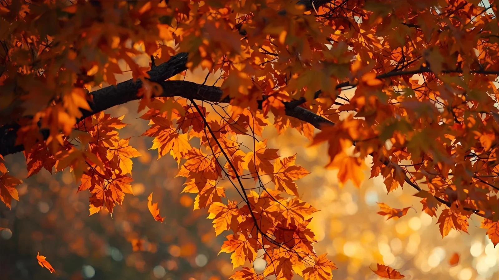 Autumn leaves with cozy mug for caption inspiration.