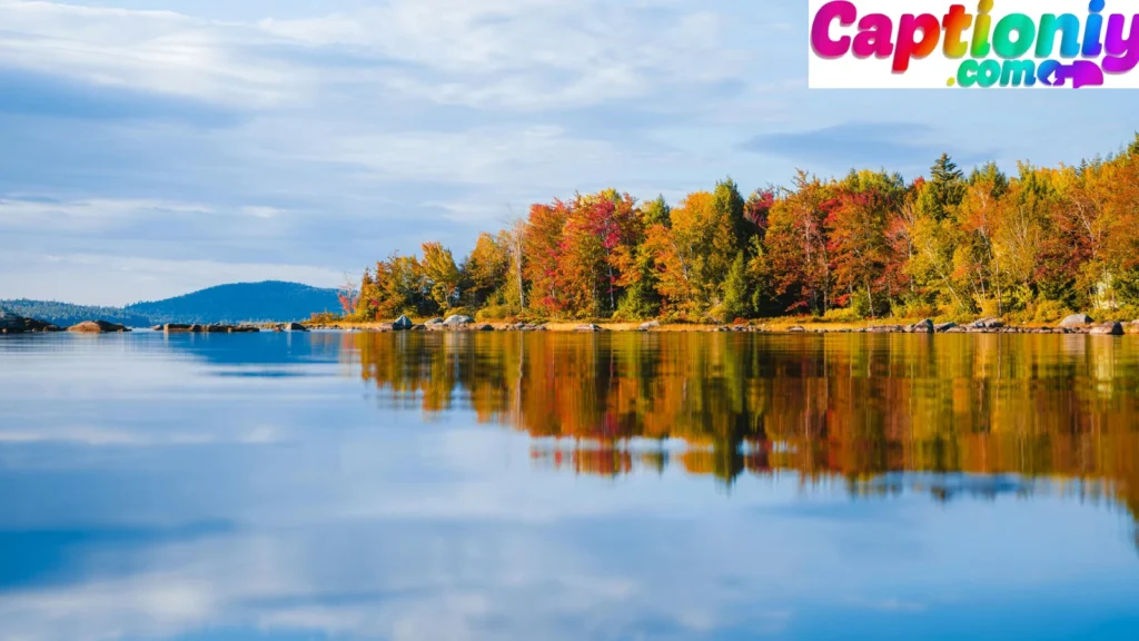 Maine Lakes & Forest Calm