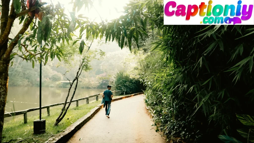 Nature Morning Walk Captions
