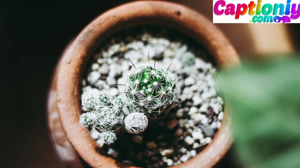 Blessed Self-Growth Captions