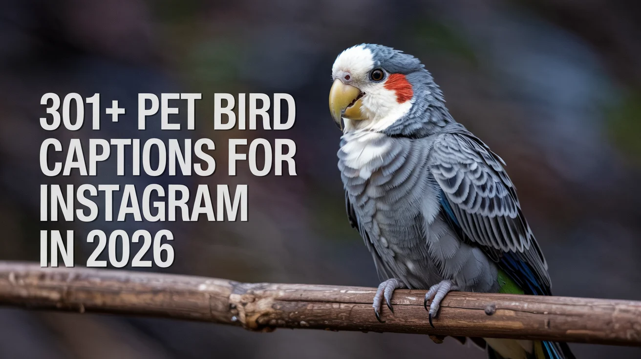 Pet Bird Captions for Instagram