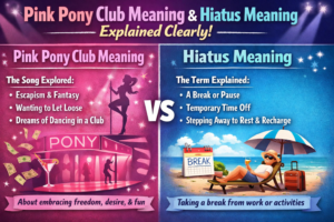 Pink Pony Club Meaning & Hiatus Meaning Explained Clearly
